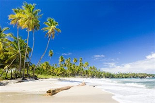 Trinidad ve Tobago hava tahmini