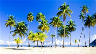 Trinidad og Tobago vejrudsigt