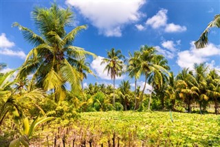Trinidad ve Tobago hava tahmini