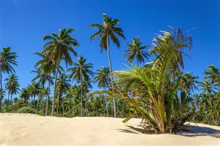 Trinidad a Tobago předpověď počasí