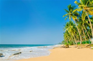 Trinidad ve Tobago hava tahmini