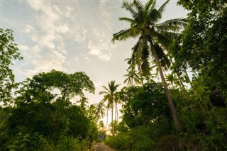 Trinidad ve Tobago hava tahmini