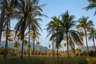Trinidad ve Tobago hava tahmini