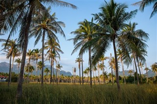 Trinidad ve Tobago hava tahmini