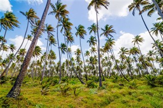 Trinidad ve Tobago hava tahmini