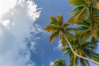 Trinidad ve Tobago hava tahmini