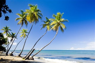 Trinidad ve Tobago hava tahmini