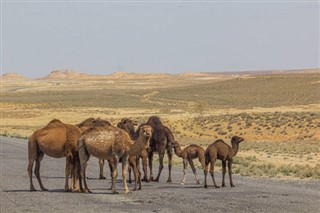 Türkmenistan hava tahmini