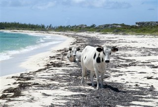 Turks- és Caicos-szigetek időjárás-jelentés