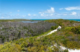 Turks ve Caicos Adaları hava tahmini