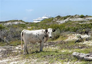 Turks ve Caicos Adaları hava tahmini