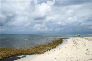 Turks ve Caicos Adaları Hava tahmini