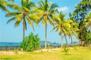 Turks ve Caicos Adaları Hava tahmini
