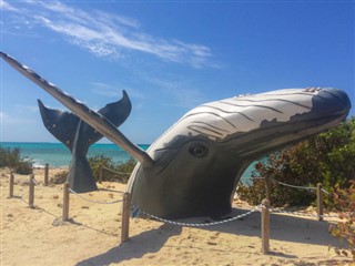 Turks ve Caicos Adaları hava tahmini