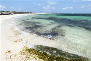 Turks ve Caicos Adaları hava tahmini
