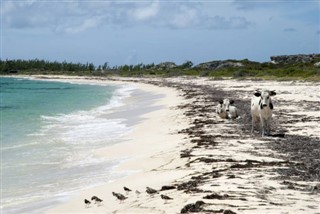 Turks ve Caicos Adaları hava tahmini