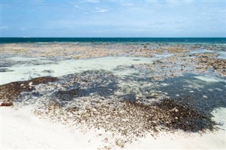 Turks ve Caicos Adaları hava tahmini