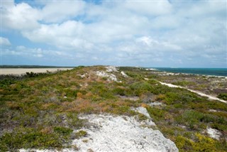 Turks ve Caicos Adaları hava tahmini