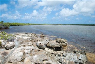 Turks ve Caicos Adaları hava tahmini