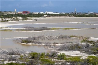 Turks ve Caicos Adaları hava tahmini