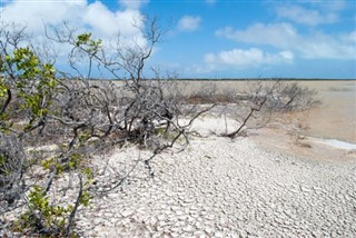 îles Turques-et-Caïques prévisions météorologiques