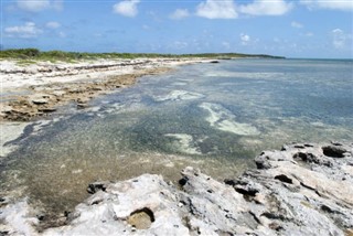Turks ve Caicos Adaları hava tahmini