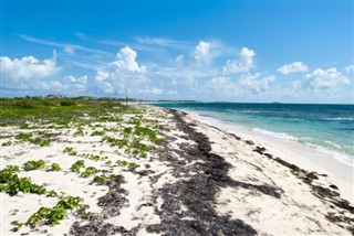Turks ve Caicos Adaları hava tahmini