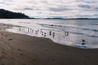 Tuvalu hava tahmini