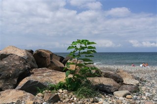 Tuvalu hava tahmini