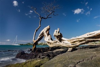Tuvalu hava tahmini