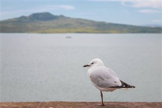 Tuvalu hava tahmini