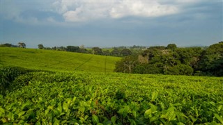 Uganda Hava tahmini
