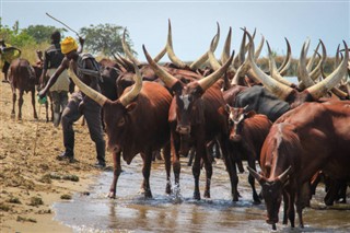Uganda hava tahmini