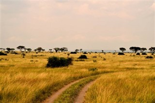 Uganda hava tahmini