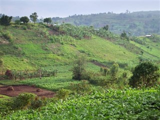 Uganda vejrudsigt