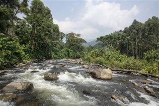 Uganda hava tahmini