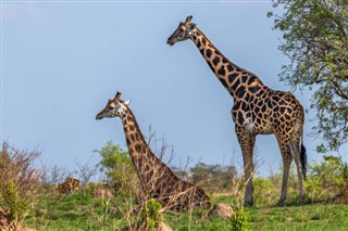Uganda vejrudsigt