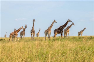 Uganda vejrudsigt