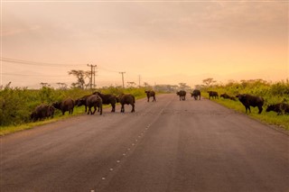 Uganda időjárás-jelentés