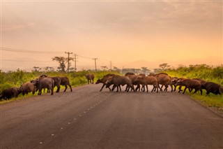 Uganda időjárás-jelentés
