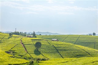 Uganda vejrudsigt