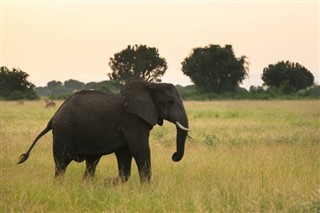 Uganda hava tahmini