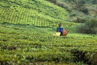 Uganda időjárás-jelentés