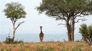 Uganda hava tahmini