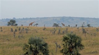 Uganda vejrudsigt