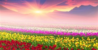 Ukrayna hava tahmini