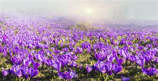Ukrayna hava tahmini