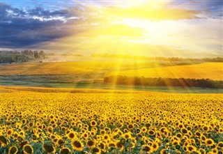 Ukrayna hava tahmini