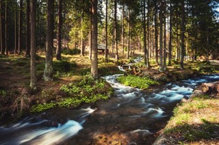 Ukrajna Időjárás-jelentés