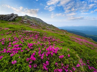 Ukrayna hava tahmini